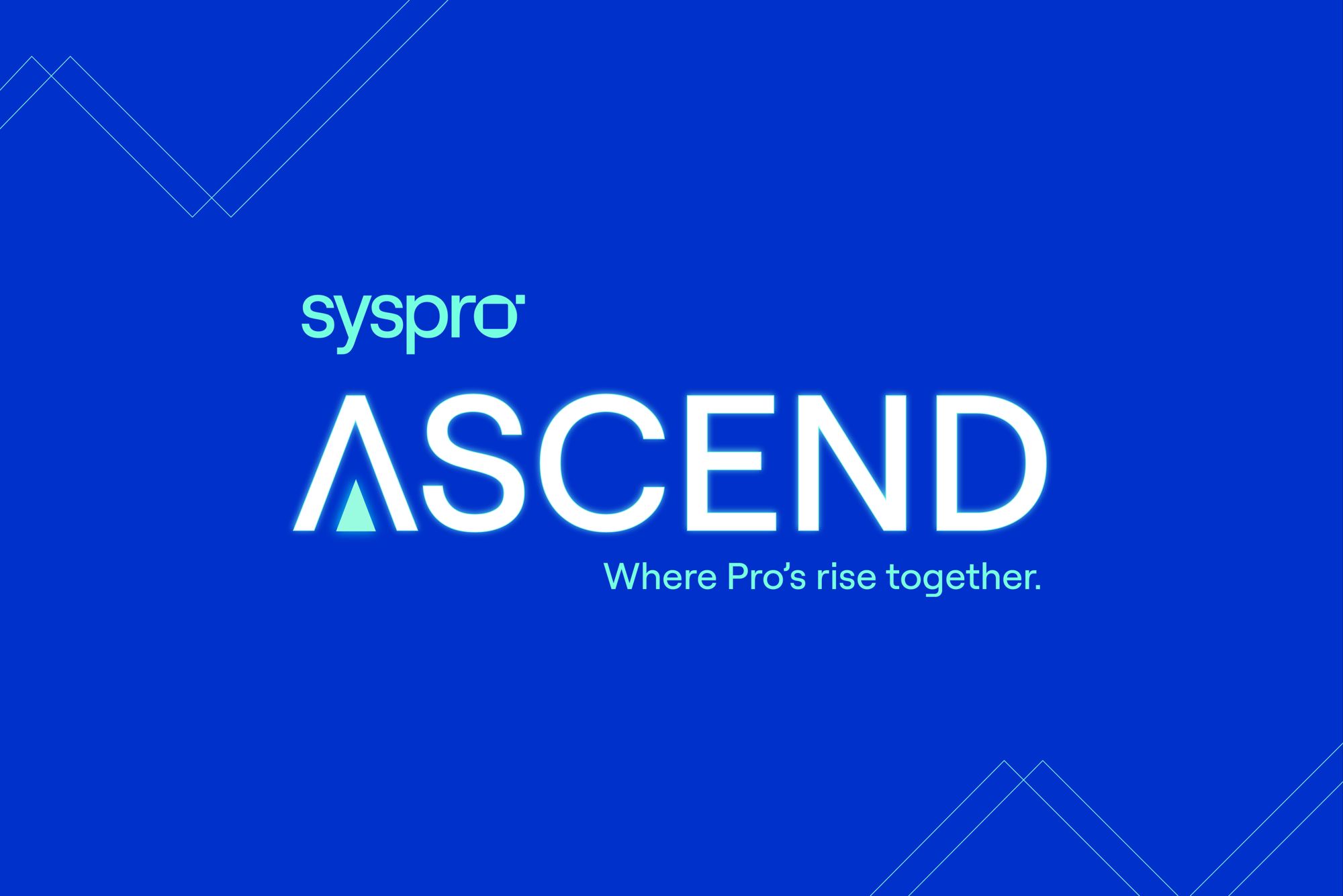 SYSPRO ASCEND and PACE Playbook 写真1